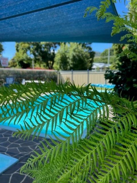 Riverbank Park Motel ブライト エクステリア 写真